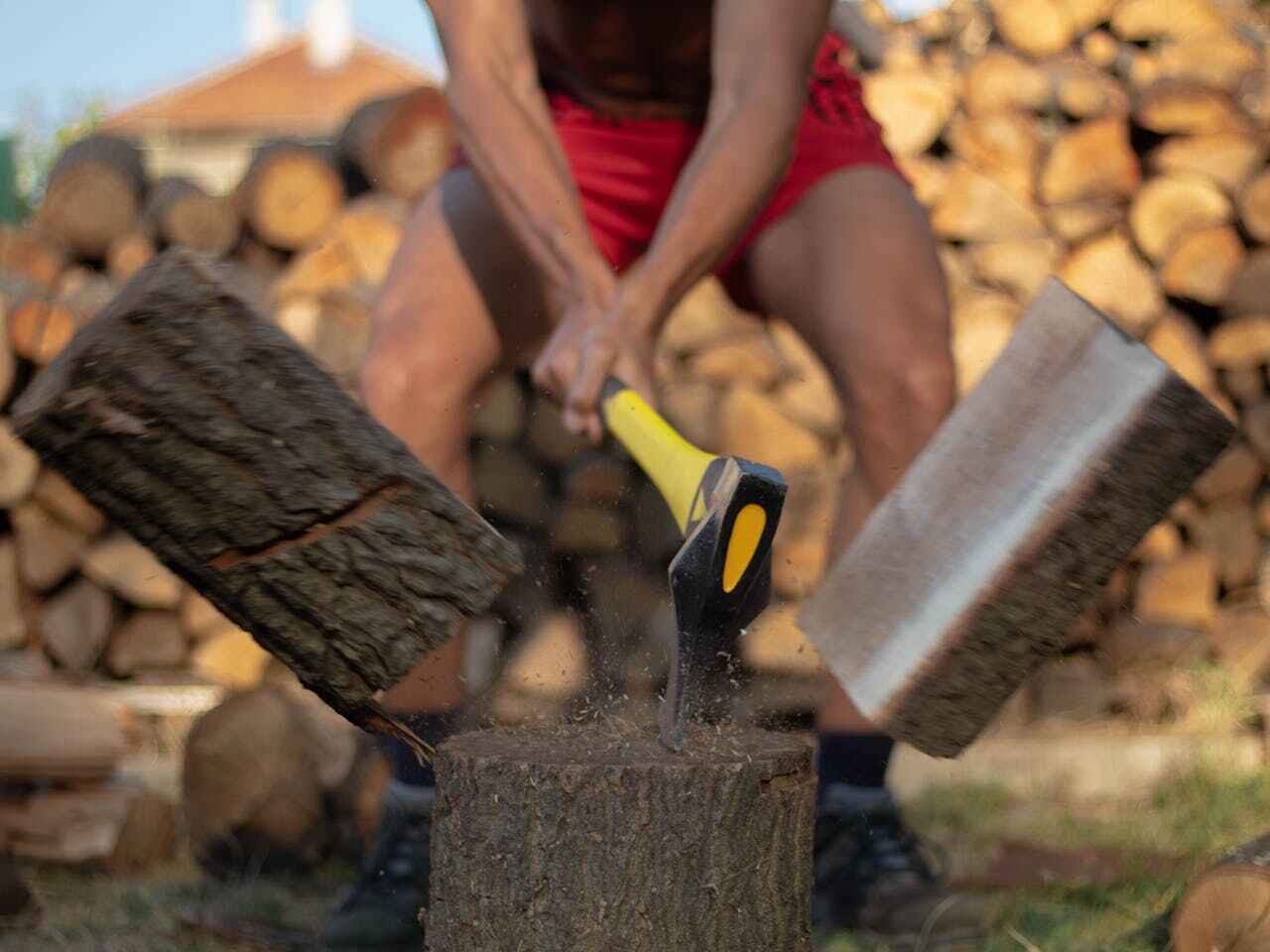 Tree Root Removal